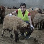 Qurban 2021