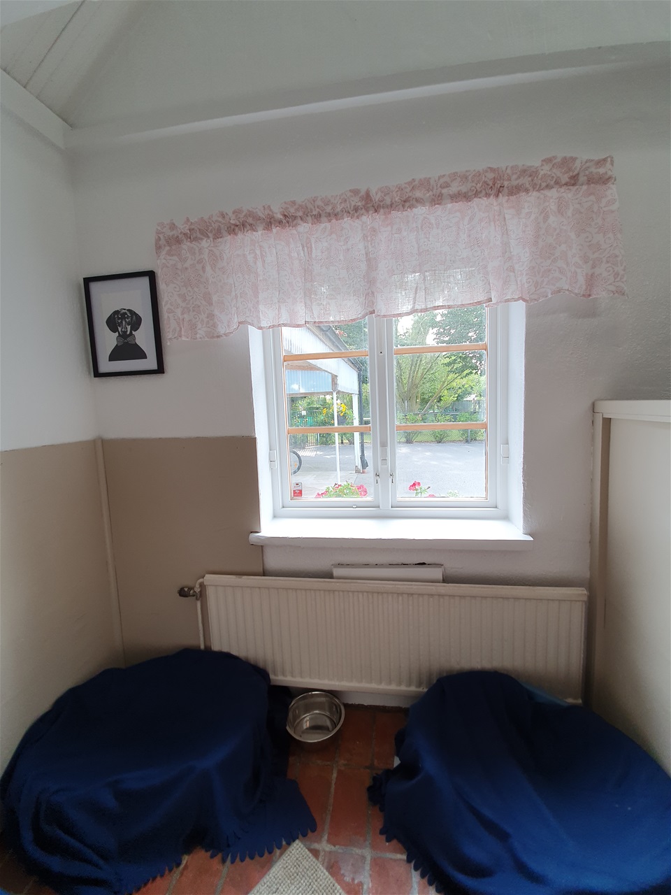 Hildesborgshunddagis galleri bild 9