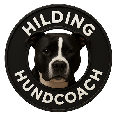 Hilding Hundcoach