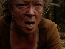 Woest Still 4