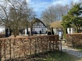 Solskin i Havehuset 