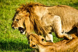 counselling for anger issues