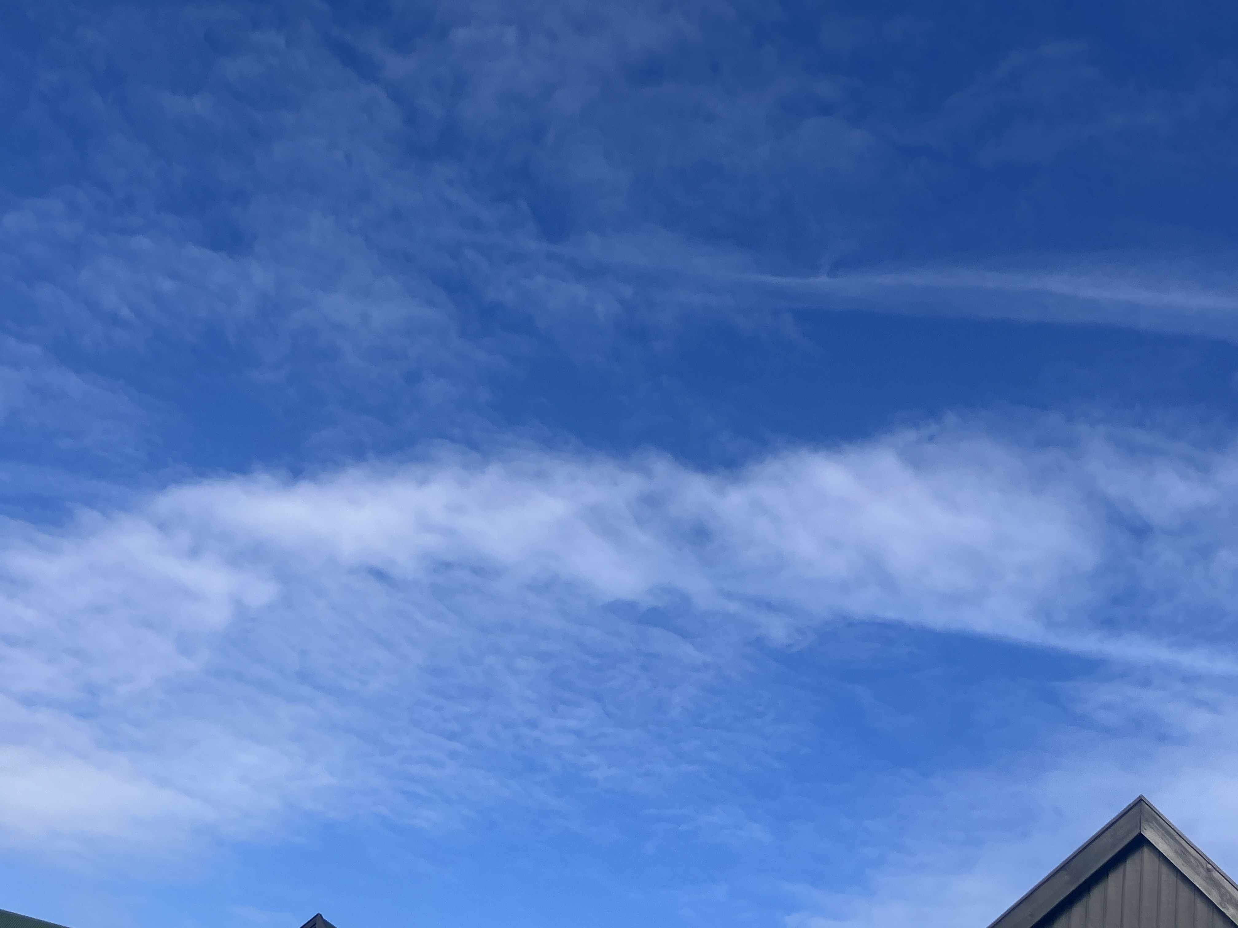 FÆRØERNE - Torshavn 15.08.2025, Kl. 16.33