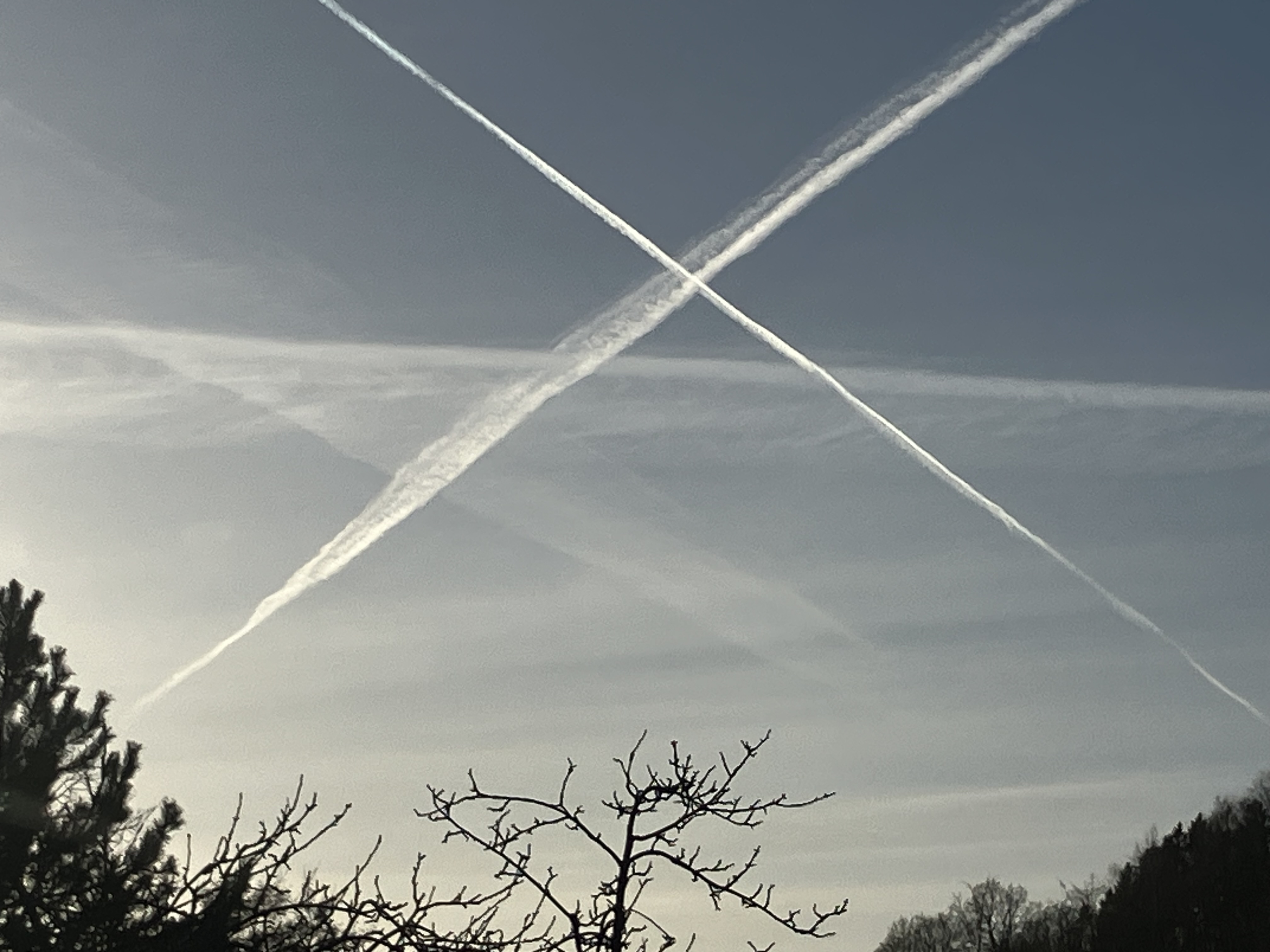 Hvor er de Folkevalgte - Pressen - Politi?