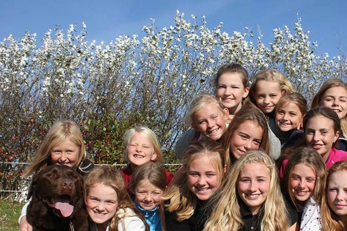 Vi siger: 