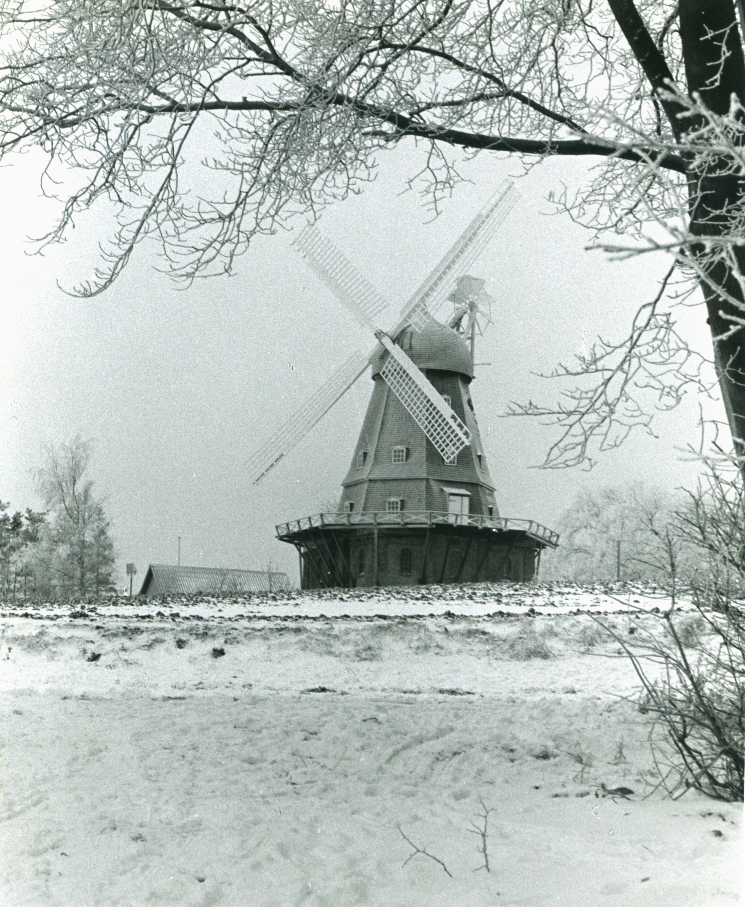 Løve Mølle