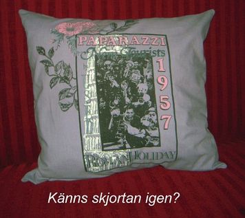 73 Paparazzikudde
