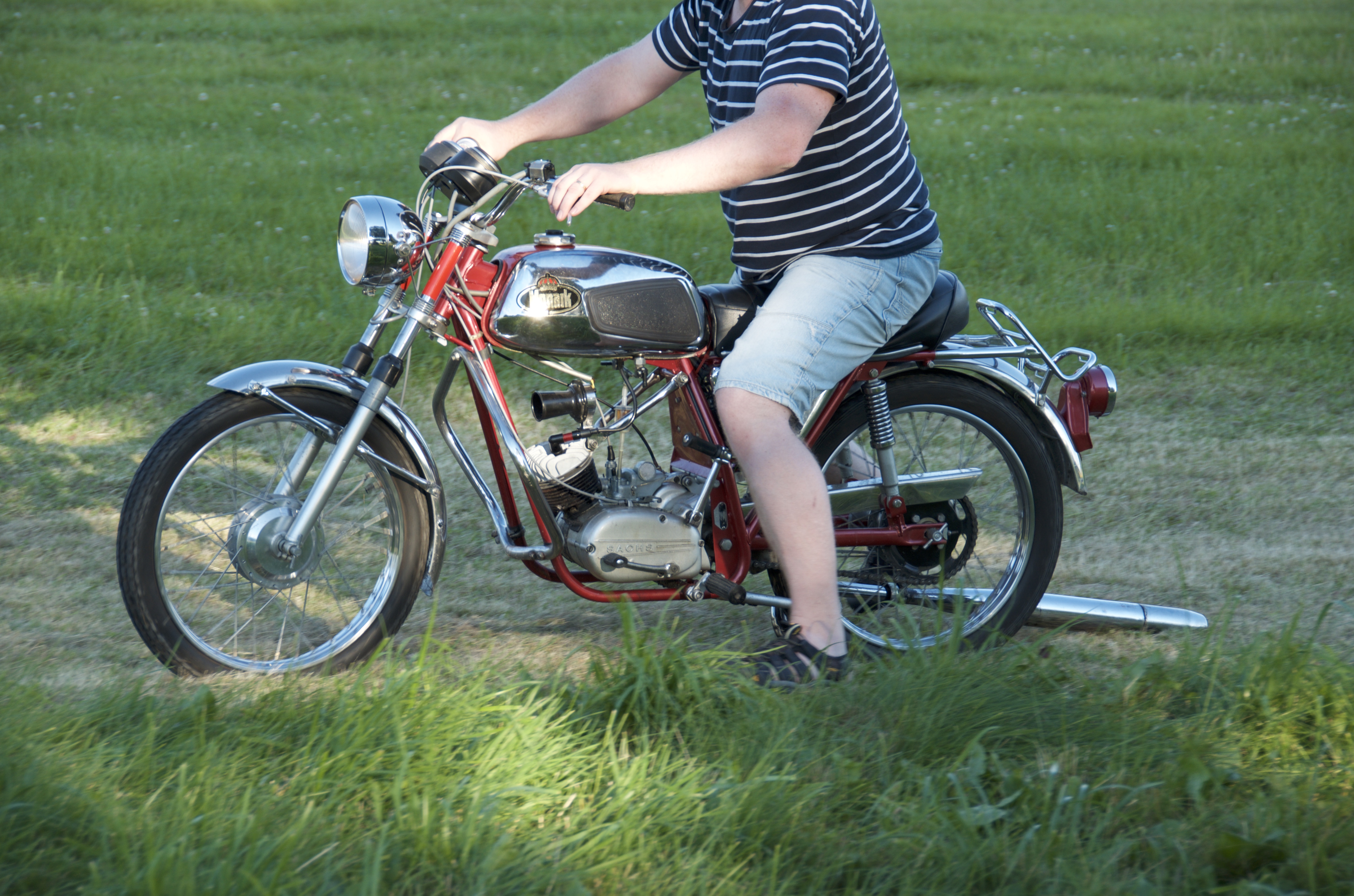 BSA_4468