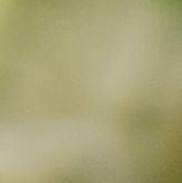 shutterstock_1659576025