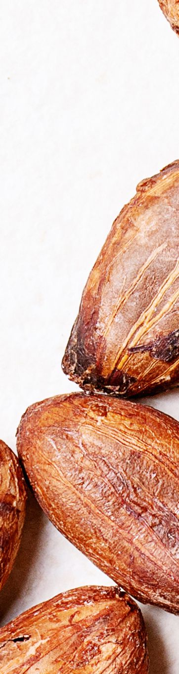 cacao beans kakaobønner hele cacao bønner