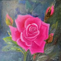 Rose no.3