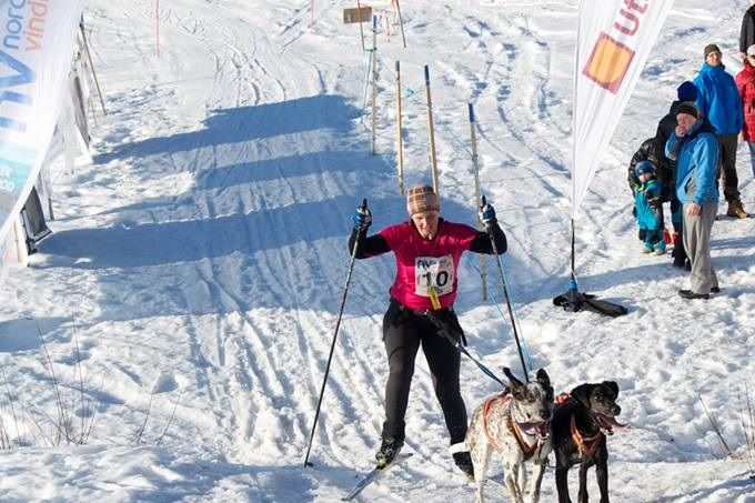Vindelälvsdraget 2015