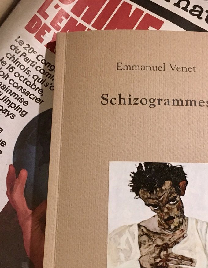 Emmanuel Venet, psychiatre artisanal et écrivain
