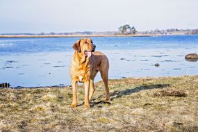 IMG_2506