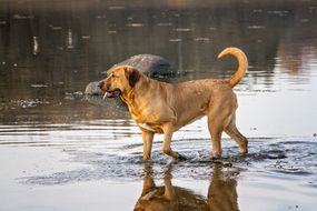 IMG_2746
