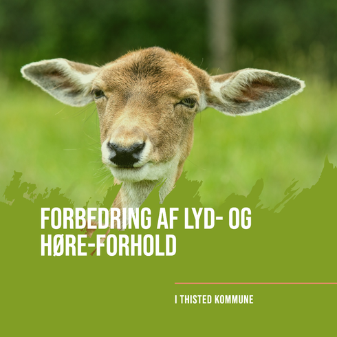 Hjorteører Forbedring af lyd og høreforhold i Thisted Kommune.
