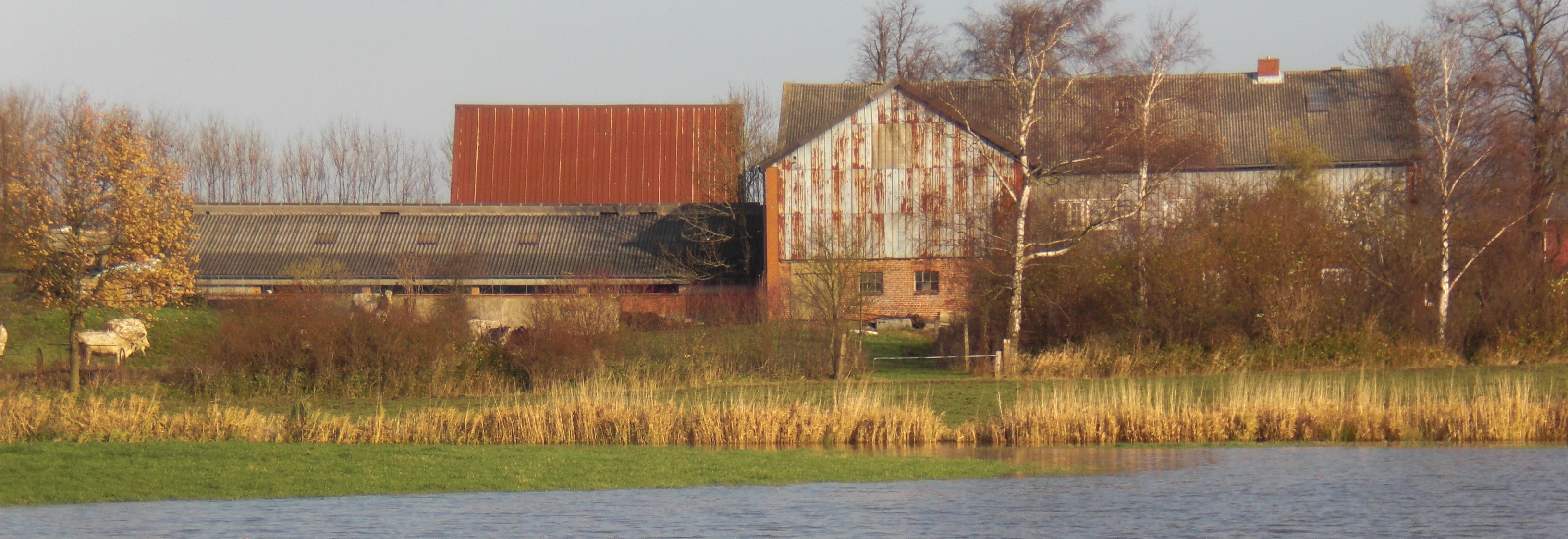 Hinteransicht vom Hof bei Überschwemmung