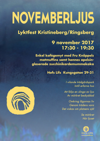 Novemberljus_2017_1