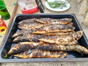 IMG-20230615-WA0021