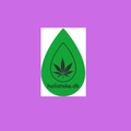 Holistiske