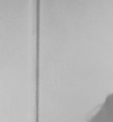 Hannah Arendt