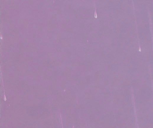 unsplash_qzOA5q2-lL4