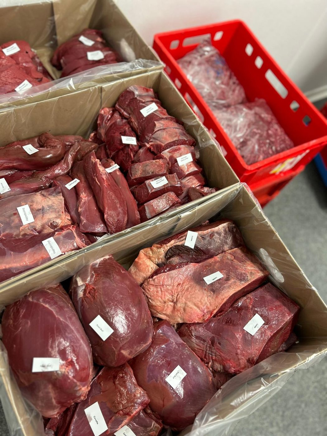 Holsted Kød vildt 1 Holsted Kød vildt 1