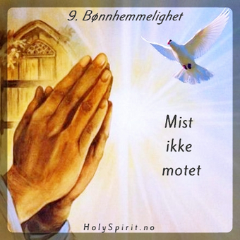 Mist ikke motet
