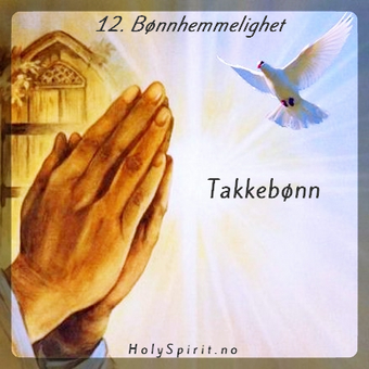 Takkebønn