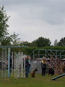P1005439