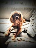 Ruby mijn kleine vriendinnetje