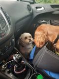 Bobby en Ruby hebben verkering ;-))