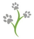Logo ontwikkeling