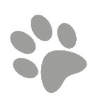 logo soortgenoten