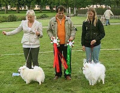 Club Show 2010 domare Andrea Leonini Italien, BIS Such Honey Queen`s Milano BIM Such Honey Queen`s Siciliano 