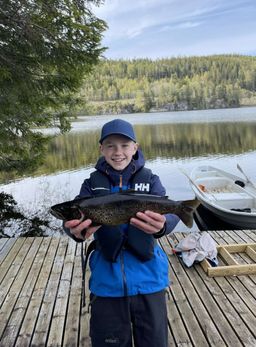 Fillip Myhr 863grams ørret i Hoklingen 10. mai 2024