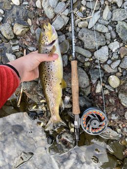 Martin Haabeth 650g Ørret tatt med fluestang i Fossingelva