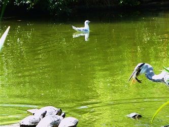 Parc de Bercy Jardin Romantique