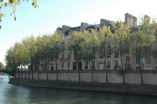 Ile saint Louis viewed from quai des Celestins 