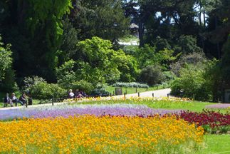 Jardin des Plantes