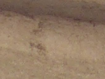 42 rue Galande stone bas relief Saint julien l'Hospitalier