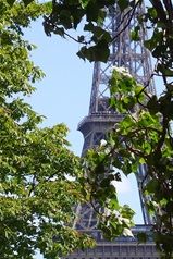 Allée des Cygnes 