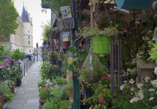Marché aux Fleurs Conciergerie