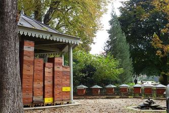 Jardin du Luxembourg Rucher