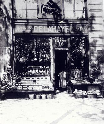 Au Coq Hardi
18, quai de la Mégisserie
Atget - 1902
(BnF)