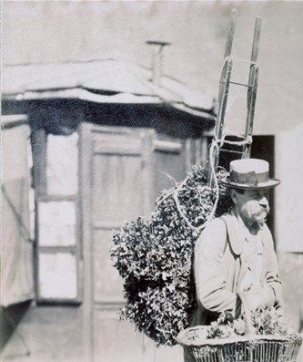 Artichokes seller - Boulevard Edgar- Quinet
Atget - 1899
(Musée Carnavalet)
