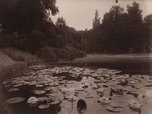Bagatelle Nymphea Atget