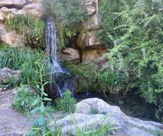 Parc Montsouris