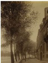 Hôtel de Lauzun 17, quai d'Anjou Atget(Musée Carnavalet)