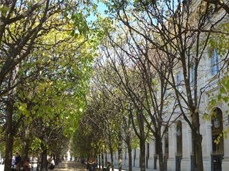 Palais Royal